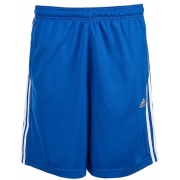 Шорты  Clima Essentials F48833 Adidas
