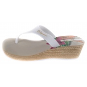 Вьетнамки HIBISCUS PLAT 8116221926 Ipanema