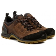 Кроссовка BIOM TERRAIN Akka II GTX Low cut 82354450107 ECCO