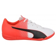 Кроссовки Indoor evoSPEED 5.5 IT 10385701 Puma