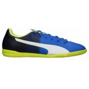 Кроссовки Indoor evoSPEED 5.5 IT 10385702 Puma