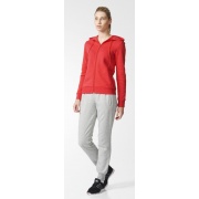 Костюм ESS LIN CO TS AY1800 Adidas