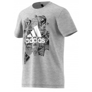 Футболка BADGE OF SPORTS BK2780 Adidas