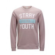 Толстовка JORCHANGED SWEAT CREW NECK 12116828DeauvilleMau Jack & Jones