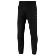 Штаны EVOSTRIPE MOVE PANTS 59492401 Puma