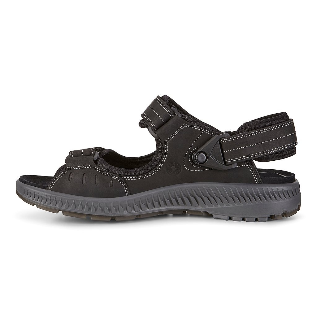 Maori Uden for følsomhed Босоножки TERRA SANDAL 82270402001 ECCO — купить с доставкой в Киев и по  Украине