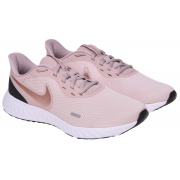 Кроссовки WMNS NIKE REVOLUTION 5 BQ3207-600 Nike