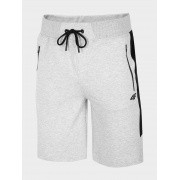 Шорты H4L20-SKMD002-f27M 4F