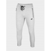 Штаны H4L20-SPMD010-f27M 4F