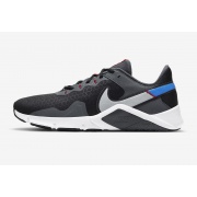 Кросовки NIKE LEGEND ESSENTIAL CQ9356-014 Nike