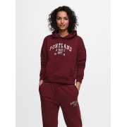 Худи ONLCOLLEGE LIFE L/S HOOD SWT 15235558 Cabernet ONLY