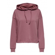 Толстовка ONLDREAMER LIFE L/S HOOD SWT NOOS 15241103 Rose Brown ONLY