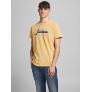 Футболка JORREGGIE TEE SS CREW NECK 12189836 Sahara Sun-JJ PRINT Jack & Jones