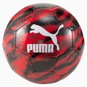 Мяч тренировочный Unisex ACM Iconic Big Cat Ball 08349304 Puma