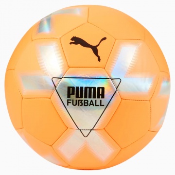 Мяч тренировочный Unisex PUMA CAGE ball 08369702 Puma