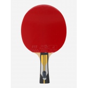 Ракетка для настольного тенниса Tour Table Tennis Bat 121760TRN-BH Torneo