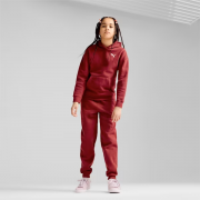 Подростковый спортивный костюм Loungewear Suit FL 68332013 Puma