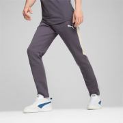 Спортивні штани EVOSTRIPE Pants 68170269 Puma