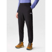Брюки спортивные M 100 GLACIER PANT 0A8561JK31 THE NORTH FACE