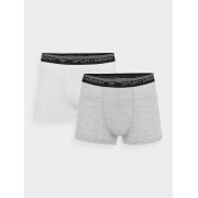 Трусы боксеры BOXER SHORTS M051 (2PACK) 4FWMM00UBXSM051-10S 4F
