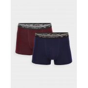 Трусы боксеры BOXER SHORTS M051 (2PACK) 4FWMM00UBXSM051-31S 4F