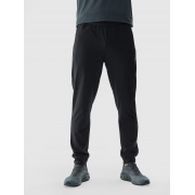 Спортивные брюки Trousers Fnk M681 4FWAW24TFTRM681-20S 4F