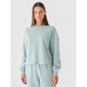 Свитшот Sweatshirt F1305 4FWAW24TSWSF1305-47S 4F