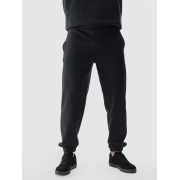 Спортивные брюки TROUSERS CAS M0785 4FWAW24TTROM0785-20S 4F