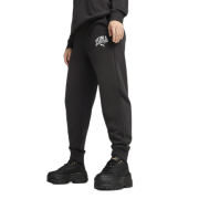 Спортивные брюки PUMA CLASS Sweatpants 68503701 Puma