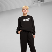 Подростковый спортивный костюм ESS Logo Crew Sweat Suit TR 68629601 Puma