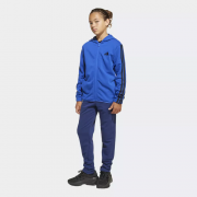 Подростковый спортивный костюм J 3S FT TS 220 JE0311 Adidas