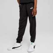 Спортивные штаны подростковые ESS No. 1 Logo Sweatpants TR 68491401 Puma