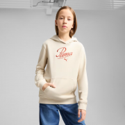 Худи подростковое ESS SCRIPT Hoodie 68580687 Puma