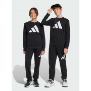 Спортивный костюм подростковый J BL FT JOG 240 JD2102 Adidas