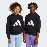 Худи детское J BL FT HD 280 JC9667 Adidas