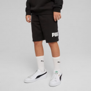 Спортивные шорты подростковые ESS No. 1 Logo Shorts TR 68491801 Puma