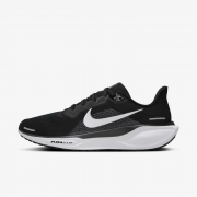 Кроссовки AIR ZOOM PEGASUS 41 FD2722-002 Nike