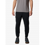 Брюки Sage Peak™ Tapered Chino Pant 2095041CLB-010 Columbia