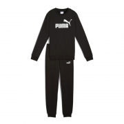 Спортивный костюм подростковый ESS Logo Crew Sweat Suit 68972101 Puma