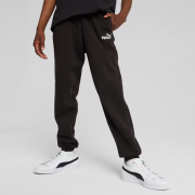 Спортивні штани підліткові ESS No. 1 Logo Sweatpants FL 68491201 Puma