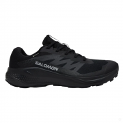 Кросівки ALPHAGLIDE GTX Black L47802100 SALOMON