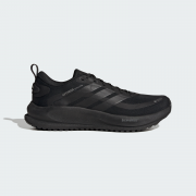 Кроссовки SUPERNOVA EASE 2 GTX M HQ7409 Adidas