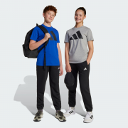 Брюки детские J SL  FL PT 225 JC9765 Adidas